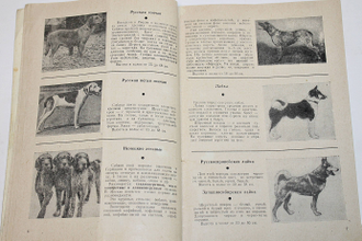 Охотничьи и комнатно-декоративные собаки. М.: Реклама. 1969г.