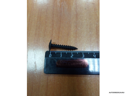 4,2*25 чёрный (цена за 100 шт.)