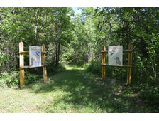 Экологическая тропа «Бобровая»