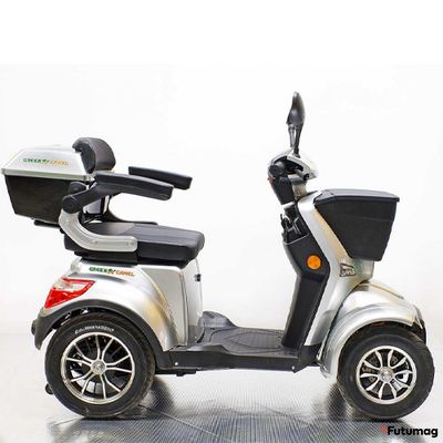 Трайк GreenCamel Пони 4K (48V 500W 36 км/ч) серебристый