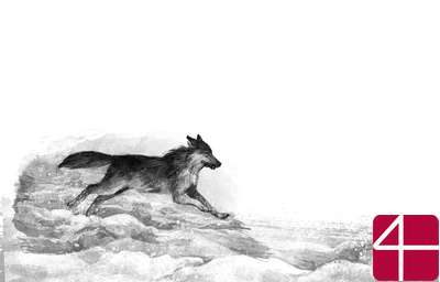 Волк по имени Странник (модификация 7)