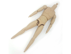 Тело 1/6 26041R - Easy & Simple