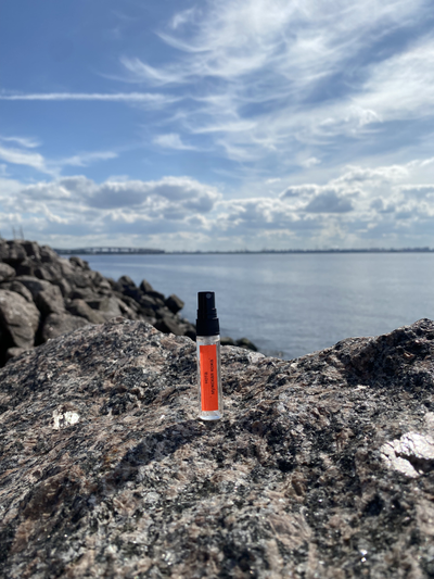 Духи НОТА: МУЖСКАЯ КОЖА 5,5 мл