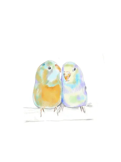 Parfums Dusita ANAMCARA