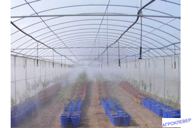 Туман низкого давления