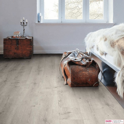 Декор ламината Haro Daily Edition Дуб Бреда Светло-серый 541339 в интерьере комнаты