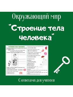 Рабочий лист. 2 класс. "Строение тела человека"