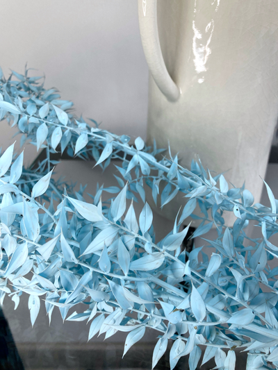 Иглица голубая