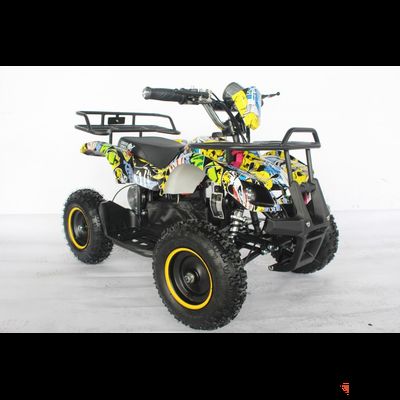 Квадроцикл GreenCamel Гоби K21 (12 Ah 36V 800W R6 Цепь) Граффити