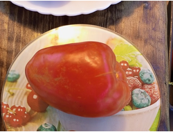 Томат Суперрог Павла (Super Corro di Paolo), Италия