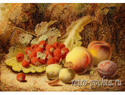 1124 Натюрморт  Oliver Clare