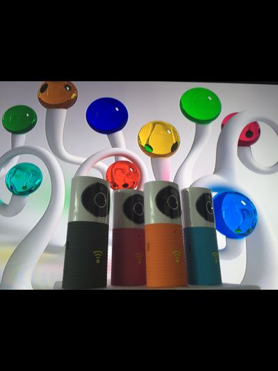 Видеоняня /WiFi видеокамера CleverDog с DVR