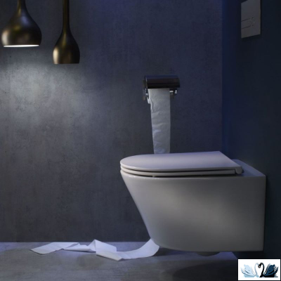 Унитаз Jacob Delafon Rodin+ EDY102-00, подвесной, белый