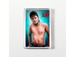 Магнит акриловый Сектор Газа, Юрий Хой №14