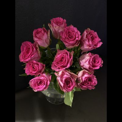 Роза Кения 11 шт