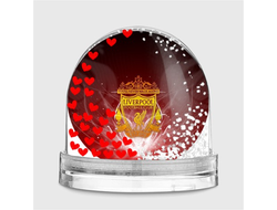 Водяной шар Ливерпуль, Liverpool FC №10