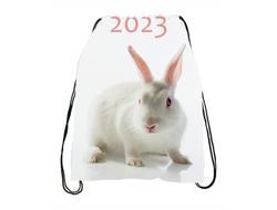 Сумка-мешок для обуви год Кролика №10