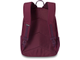 Рюкзак Dakine Essentials Pack 22L Garnet Shadow