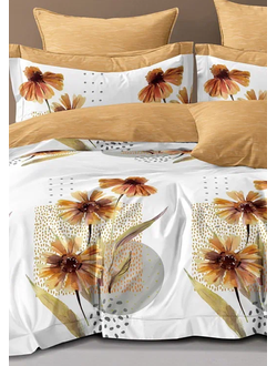 Постельное белье Cleo полутороспальное сатин 145х215х1 150х220х1 70х70х2 15/787-SL