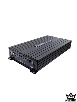 Dynamic State CA-210.2 CUSTOM Series