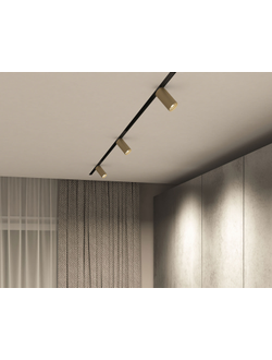 Трековый светильник Denkirs DK8010-BG