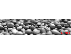 SP-081 ГЛЯНЦЕВАЯ СТЕНОВАЯ ПАНЕЛЬ ALBICO 2800*610*6мм*