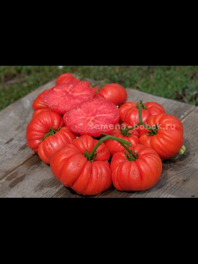 Томат Riccio Di Parma (Кудрявый из Пармы), 10 шт