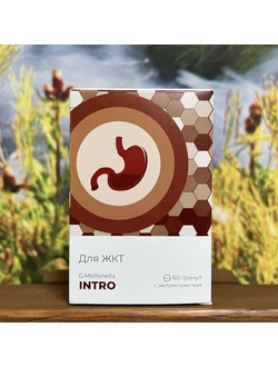 Огневка ИНТРО с экстрактами трав для желудочно-кишечного тракта 60 шт
