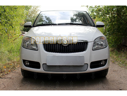 Защита радиатора Skoda Fabia 2 2007-2010 chrome