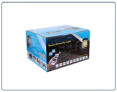 Уличная WiFi/LAN охранная видеокамера + фонарь с аудио каналом (дуплекс), с DVR. Full HD (Homsca Light)