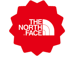 The North face (Пуховики)