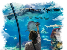 GRAND AQUARIUM IN HURGHADA