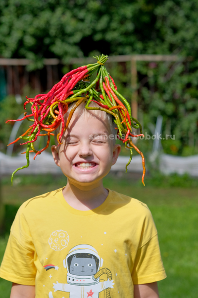 Перец острый Thunder Mountain Longhorn (Тандер Мунтан Лонгхорн), 10 шт