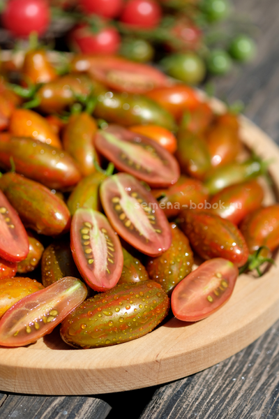 Томат Оливетта полосатая (Olivette Striée), 10 шт