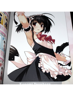 Оригинальный Арт Бук To Heart Heartful Party Official Guide First Step (Для сердца)