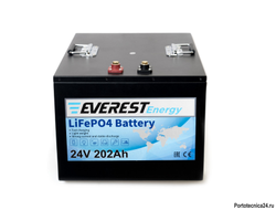 Литиевый аккумулятор  LFP-24V202А