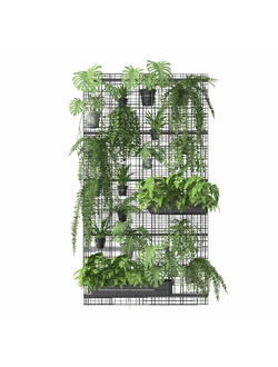 растительная стена Настенные комнатные цветы Plant 05