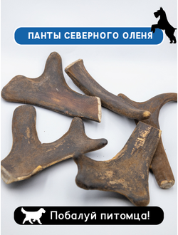 Лакомство-игрушка для собак панты рога северного оленя DOBROPET-24, 35 г