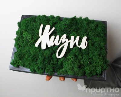 ЖИВАЯ ЭКО-КАРТИНА 1054