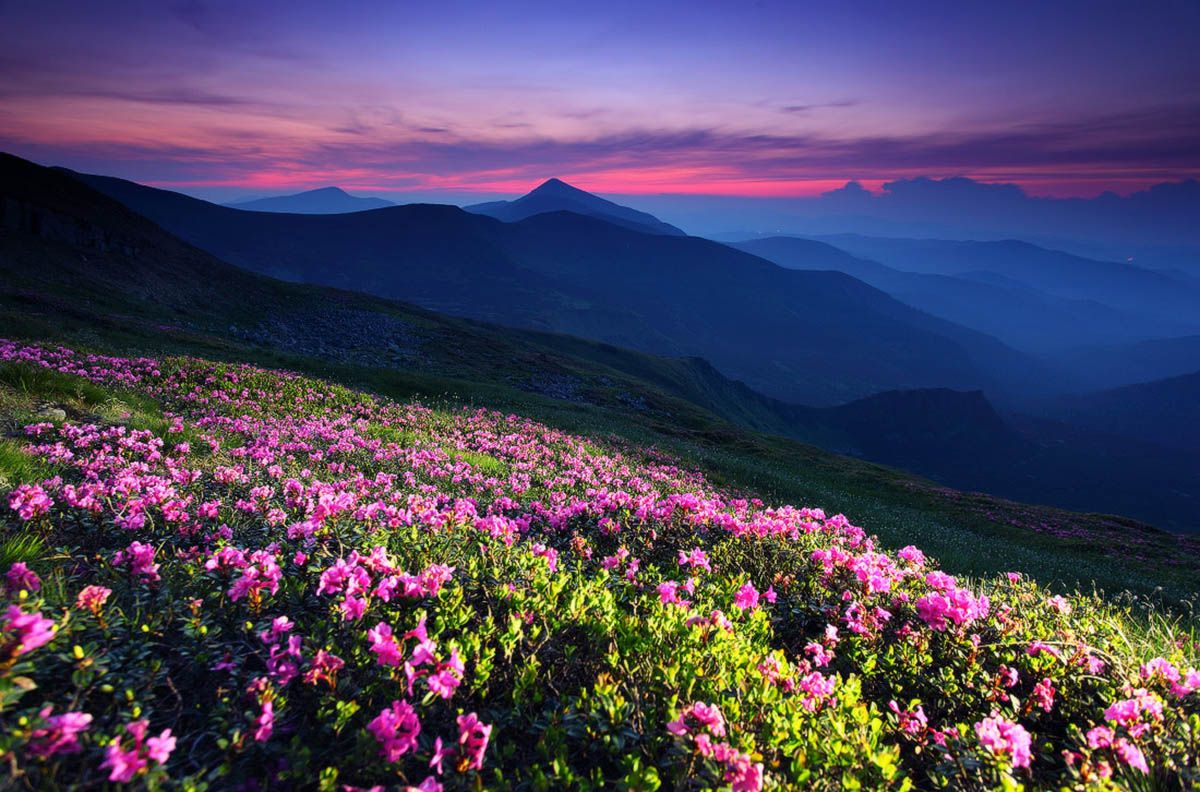 Carpathian mountains