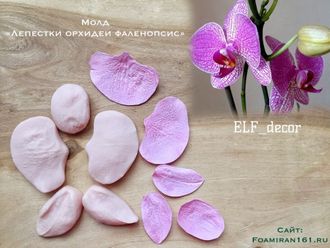 Молд «Лепестки орхидеи фаленопсис» (ELF_decor)