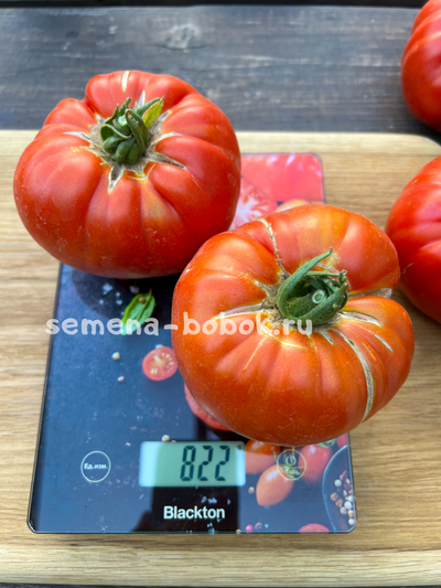 Томат Red Brandywine, Landis Valley (Красный Брендивайн Долина Лэндис), 10 шт