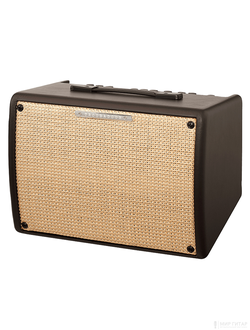 banez T30II Troubadour