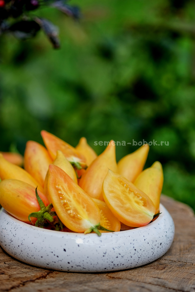 Томат Sweet Cream (Сладкий Крем), 10 шт