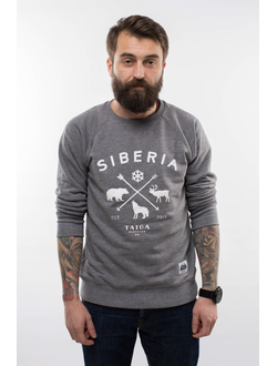 Мужской свитшот Тайга Siberia