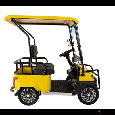 Гольфкар GreenCamel A2 ECO (2 seats 800W R8) пониженная