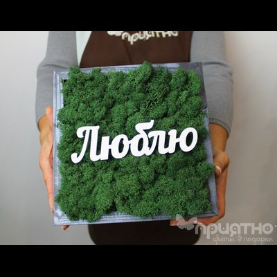 ЖИВАЯ ЭКО-КАРТИНА 1057