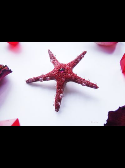 Морская брошь "Звезда ундины"