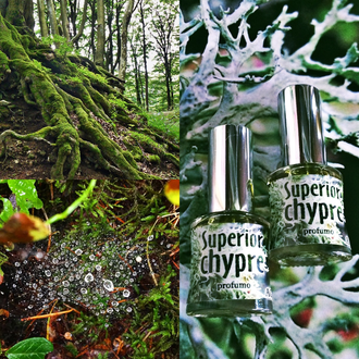 "Superior chypre" авторские духи шипровые унисекс