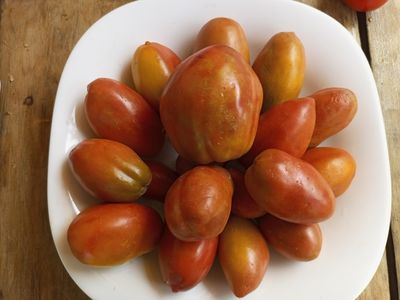 Гном Альмандин (Dwarf Almandine)